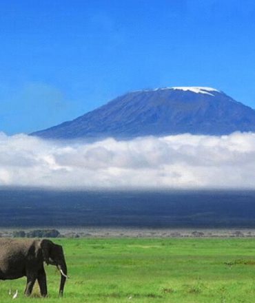 serengeti national park in africa